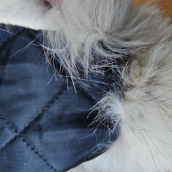 Vintage Fox Fur Scarf Collar OS - Picture 8 of 10